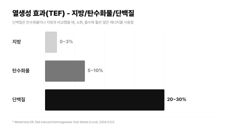 다이어트 중 단백질 섭취량 완벽 정리 [영등포 당산 한의원]