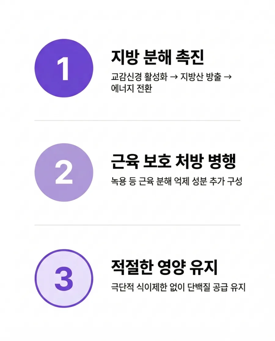 체지방만 빠지는 한약 다이어트? 근손실은 없을까요? [영등포 당산 한의원]