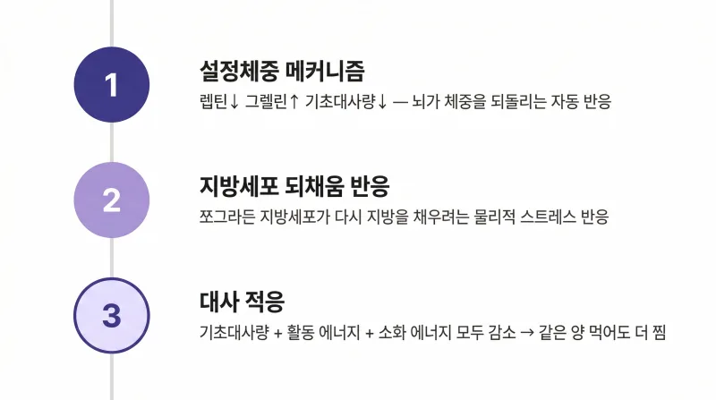 반복되는 요요 벗어나는 법, 다이어트 한약 [영등포 당산 한의원]