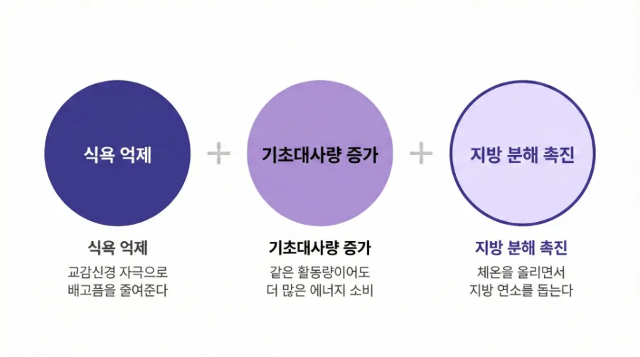 다이어트 한약 부작용, 괜찮을까요? [영등포 당산 한의원]
