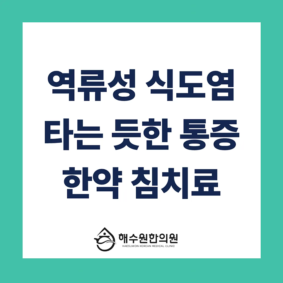 타는 듯한 가슴 쓰림 '역류성 식도염' 위장 기능 회복하는 법 [영등포 당산 한의원]