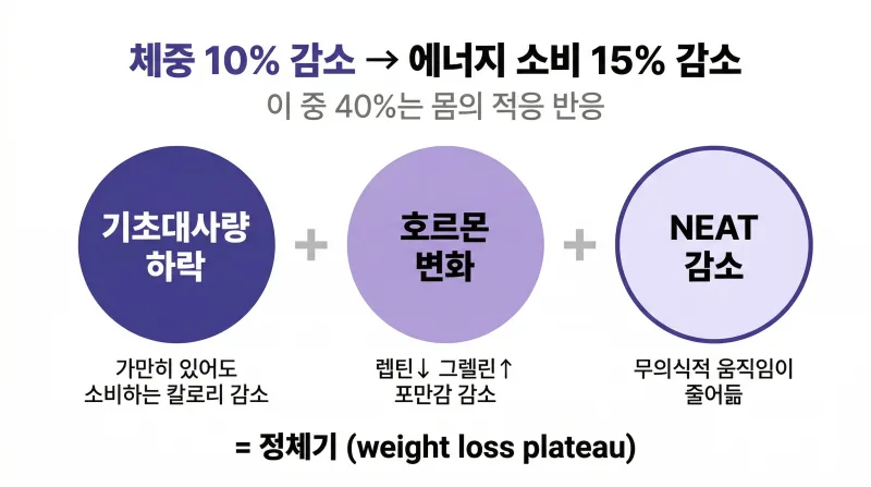 다이어트 정체기 극복하는 6가지 꿀팁 [영등포 당산 한의원]