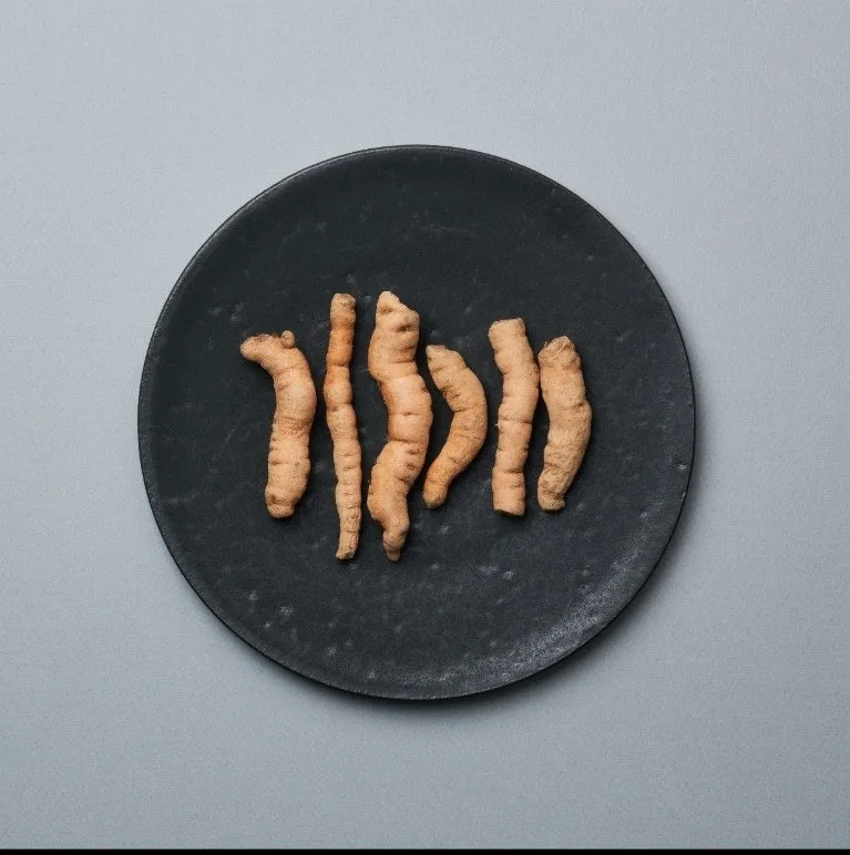 검은 접시에 담긴 생지황 뿌리
