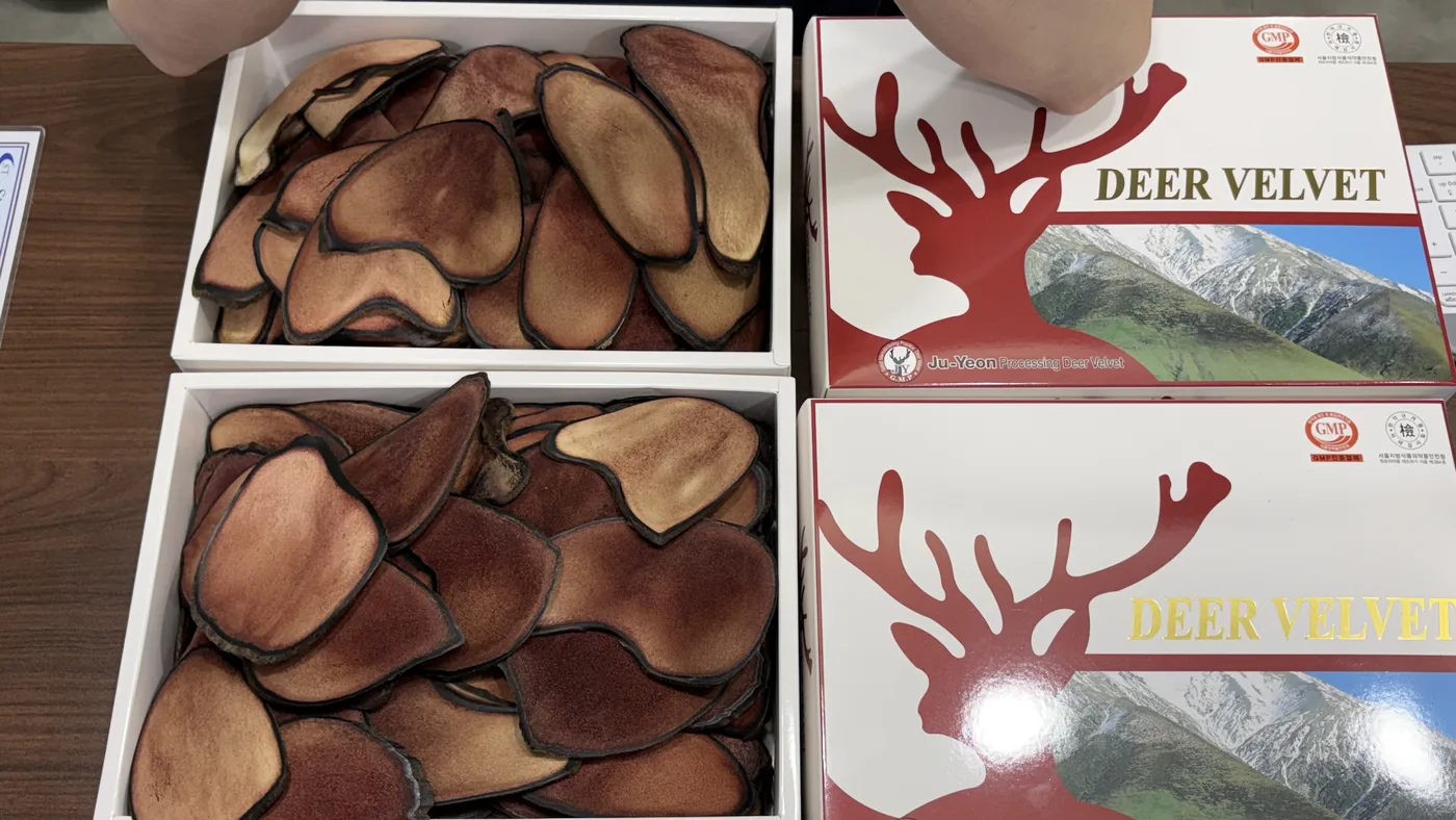 해수원한의원에서 사용하는 러시아산 분골 녹용 절편