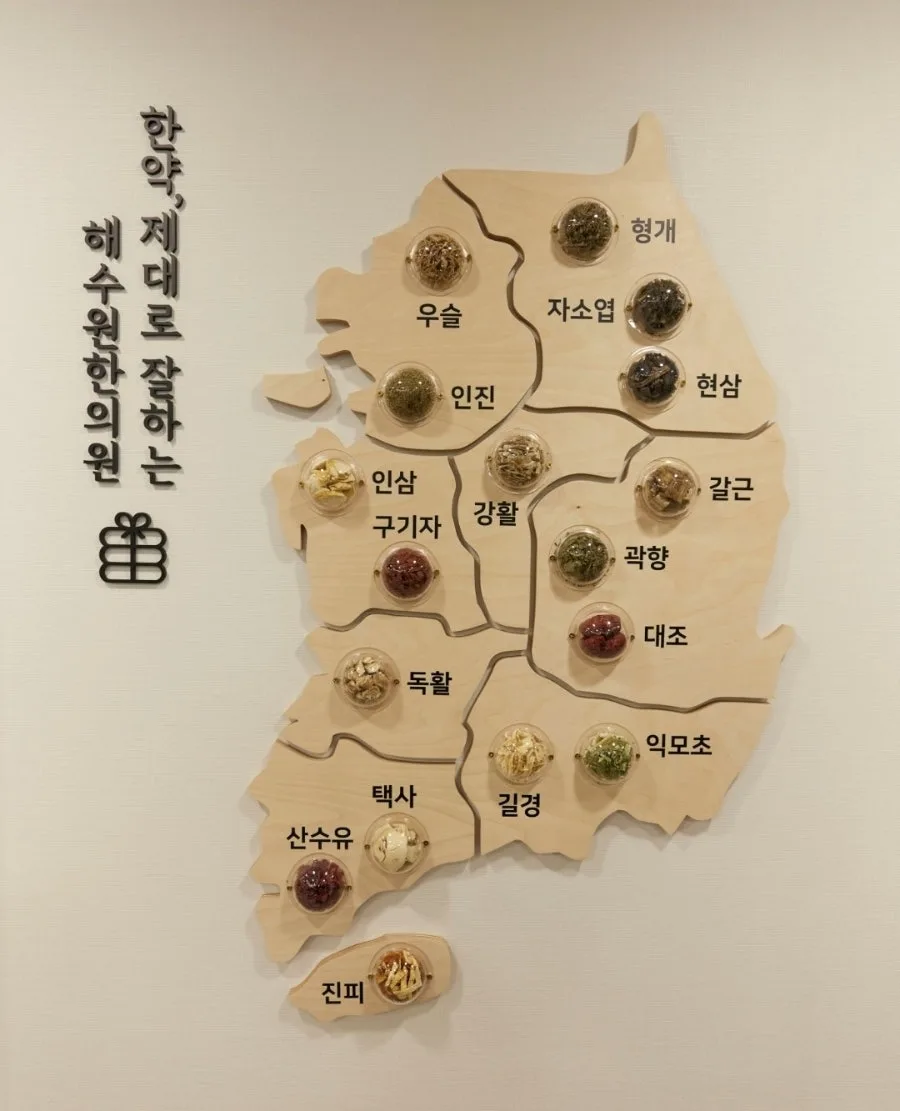 우리나라 지역별 한약재를 표시한 해수원한의원 한약재 지도